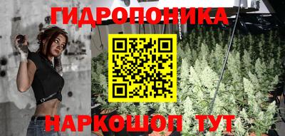 первитин Новодвинск