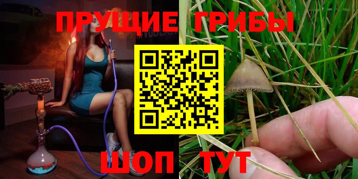 Галлюциногенные грибы Psilocybe  Псилоцибиновые грибы мицелий  Вход с VPN  Севастополь 